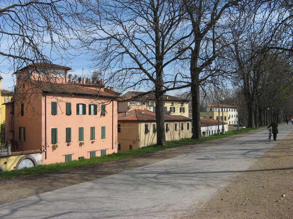 La Terrazza Fra Le Torri Apartment Lucca Exterior photo